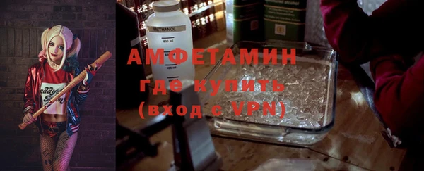 шишки Новозыбков