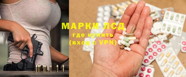шишки Новозыбков