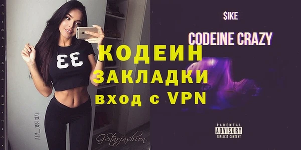 шишки Новозыбков