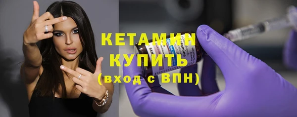шишки Новозыбков