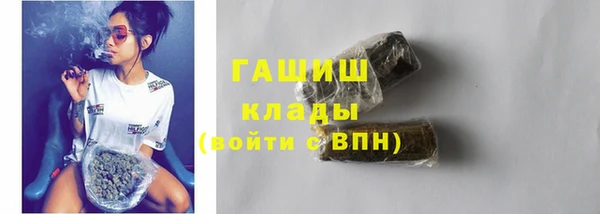 индика Нязепетровск