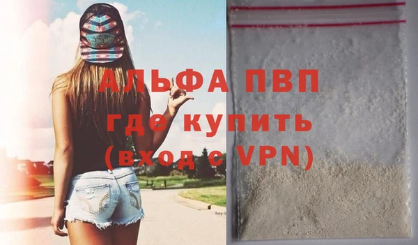 индика Нязепетровск