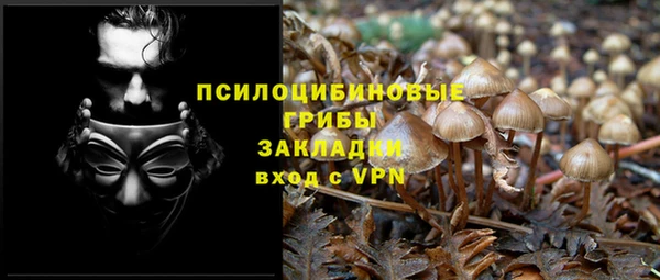 не бодяженный Няндома