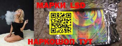 винт Донецк