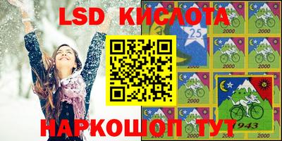 винт Донецк