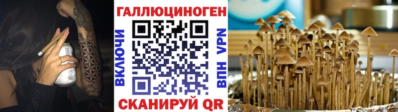 Галлюциногенные грибы Cubensis  где найти наркотики  Качканар 